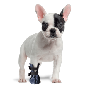 But na chora łapę (skajka) GRANDE FINALE