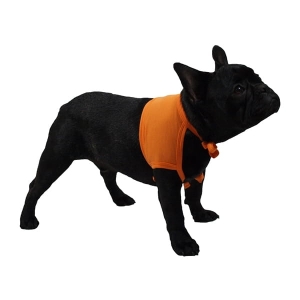 Opatrunki na barki GRANDE FINALE