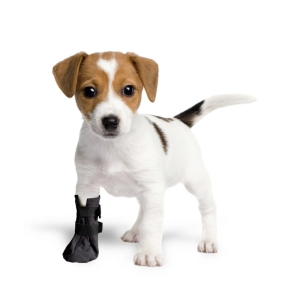 Buty na chorą łapę z soft shellu GRANDE FINALE